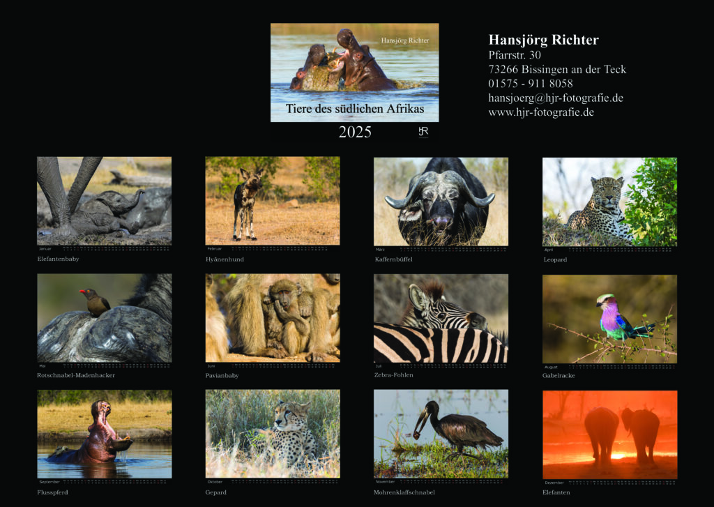 13 Einlegeblatt Tiere 2025